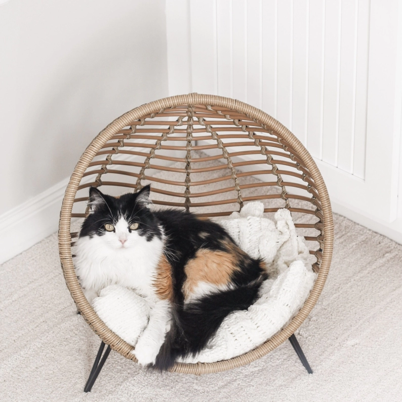 pet-chair